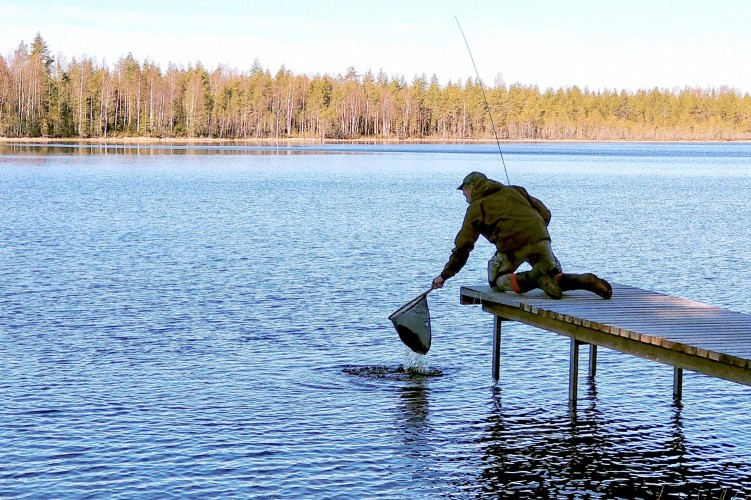 Bild från sjö. På bryggan står en person på knä med fiskehåv i handen.