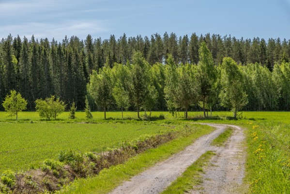 En grusväg går genom ett landskap med åkrar.