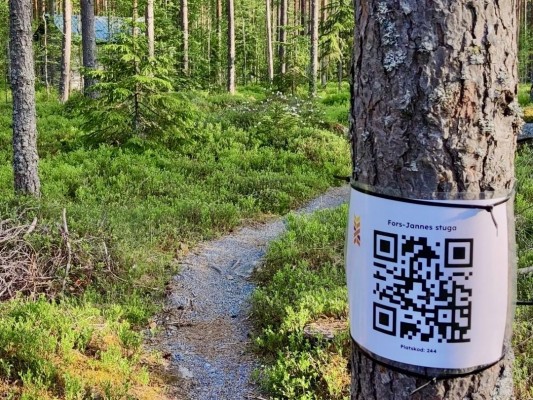 Polku metsässä ja puu, jossa on QR-koodi.