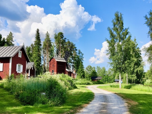 Ålidenin kotiseutumuseo. Kuvassa näkyy alueen ohi kulkeva soratie, vanha mylly, pieni talo ja koivuja.