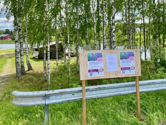 Simstranden i Lappfors syns i bakgrunden. Längst fram en skylt med information om solotalkot och hur man bekämpar invasiva växter.
