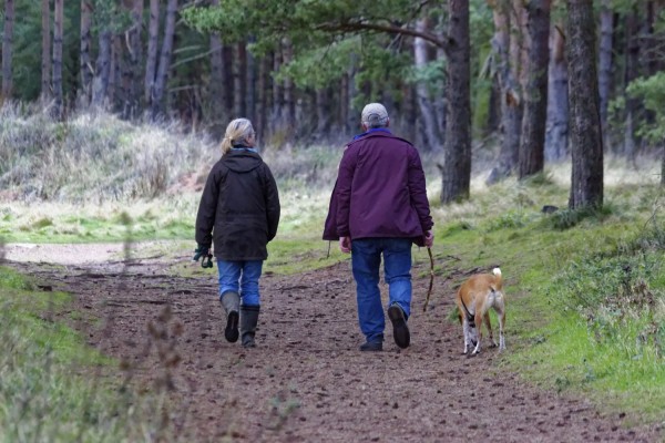 Två personer och en hund promenerar i skogen.