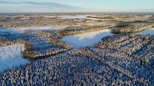 Flygbild över vintrig skog och sjöar.